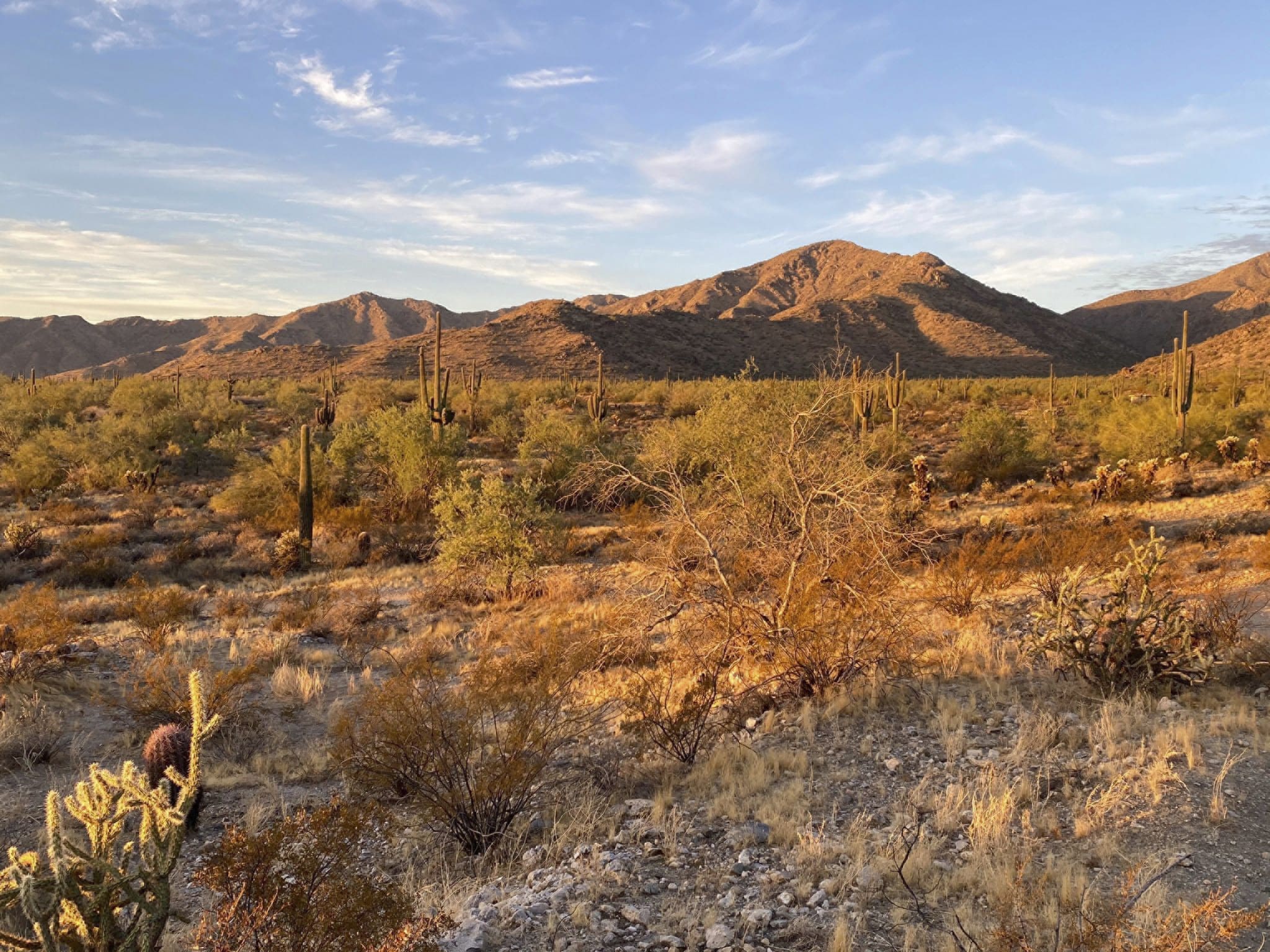 Unity Hike Mule Deer Trail in the White Tank Mountains · Unity of